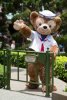 Duffy the Disney Bear.jpg