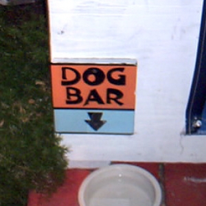 A place for man's best friend in Key West.