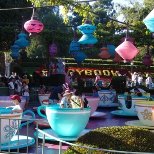 Fantasyland-Disneyland-17
