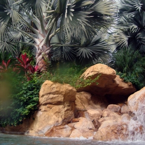Discovery_Cove_Tropical_Pool_08