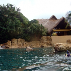 Discovery_Cove_Tropical_Pool_09