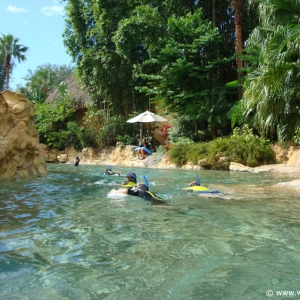 Discovery_Cove_Tropical_Pool_10