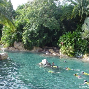 Discovery_Cove_Tropical_Pool_15