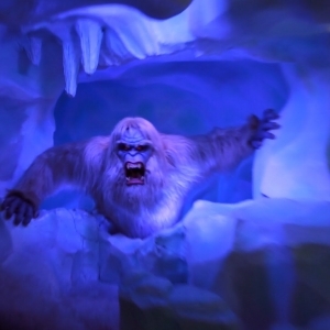 Matterhorn Bobsleds POV with New Abominable Snowman