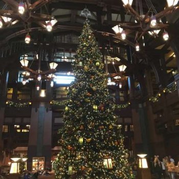 Grand Californian Christmas Tree Lobby 2019