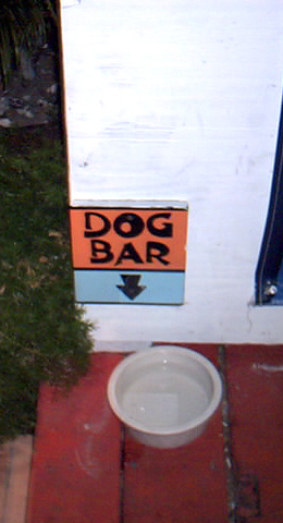 A place for man's best friend in Key West.