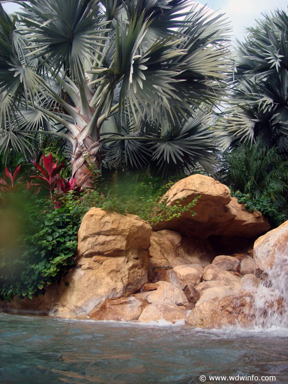 Discovery_Cove_Tropical_Pool_08