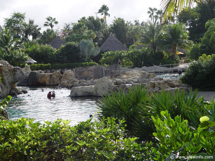 Discovery_Cove_Tropical_Pool_18