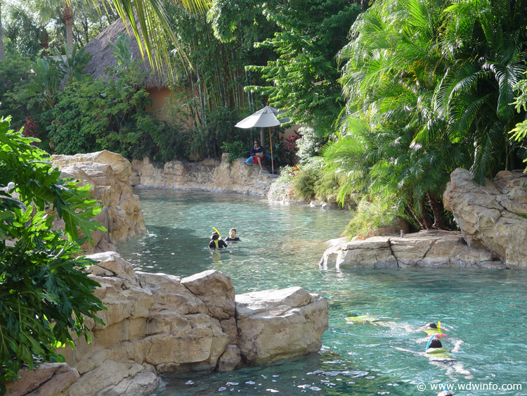 Discovery_Cove_Tropical_Pool_19