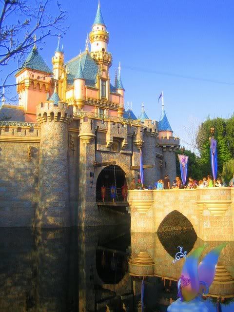 CastlewithReflection-Saturated.jpg