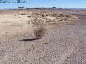 Tumbleweed Desert GIF - Tumbleweed Desert Deserted - Discover & Share GIFs