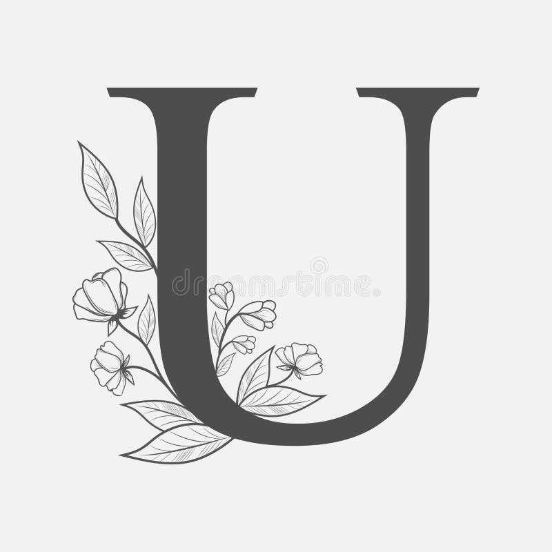 uppercase-letter-u-flowers-branches-vector-flowered-monogram-logo-hand-drawn-concept-botanical-design-branding-146638121.jpg