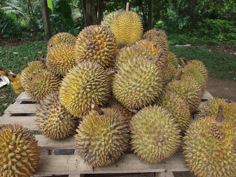 800px-Durian.jpg